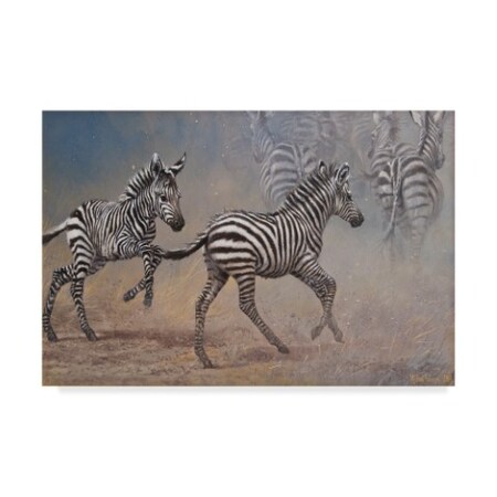Michael Jackson 'Zebra In The Dust' Canvas Art,22x32